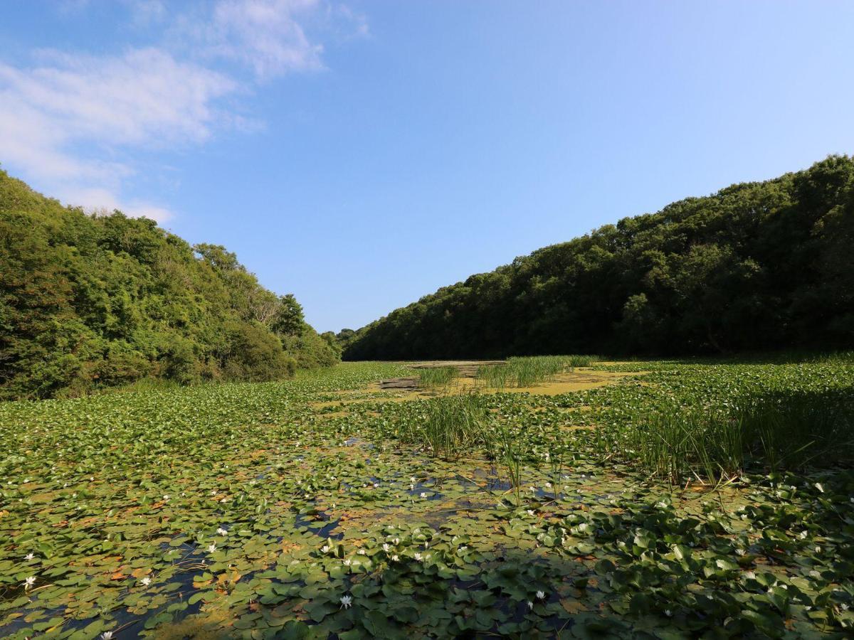 4 Honeyborough Farm Cottages Milford Haven Bagian luar foto